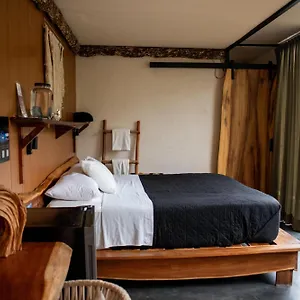 ** Hotell Bufo Alvarius Mexiko
